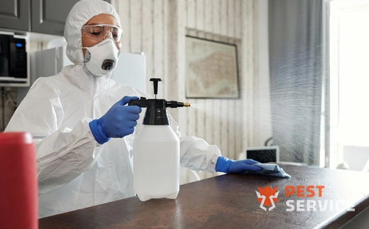 Дезинфекция в Бавлах